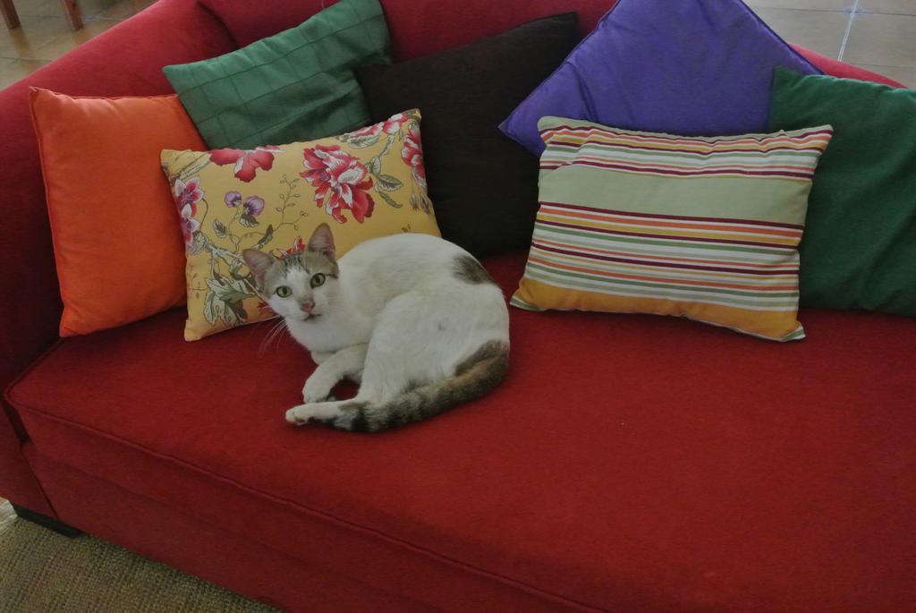 Les Hibiscus Nosy-Be Otel Djamandjary Dış mekan fotoğraf